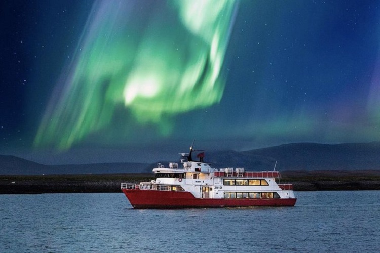 Northern Lights observation cruise